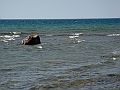 Western Michigan [2010] 858